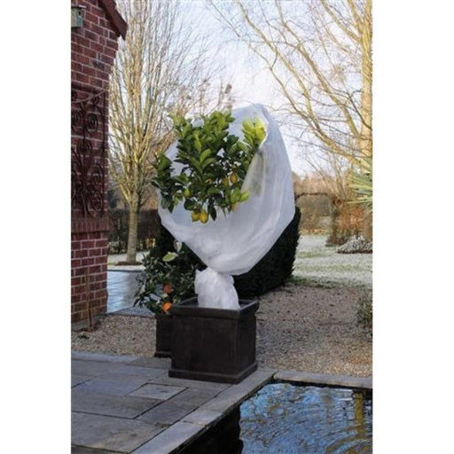 FOUDEBASSIN.COM Voile d'hivernage - PP, blanc, 30 g/m² - 2 x 10 m 8711338301180 6030118