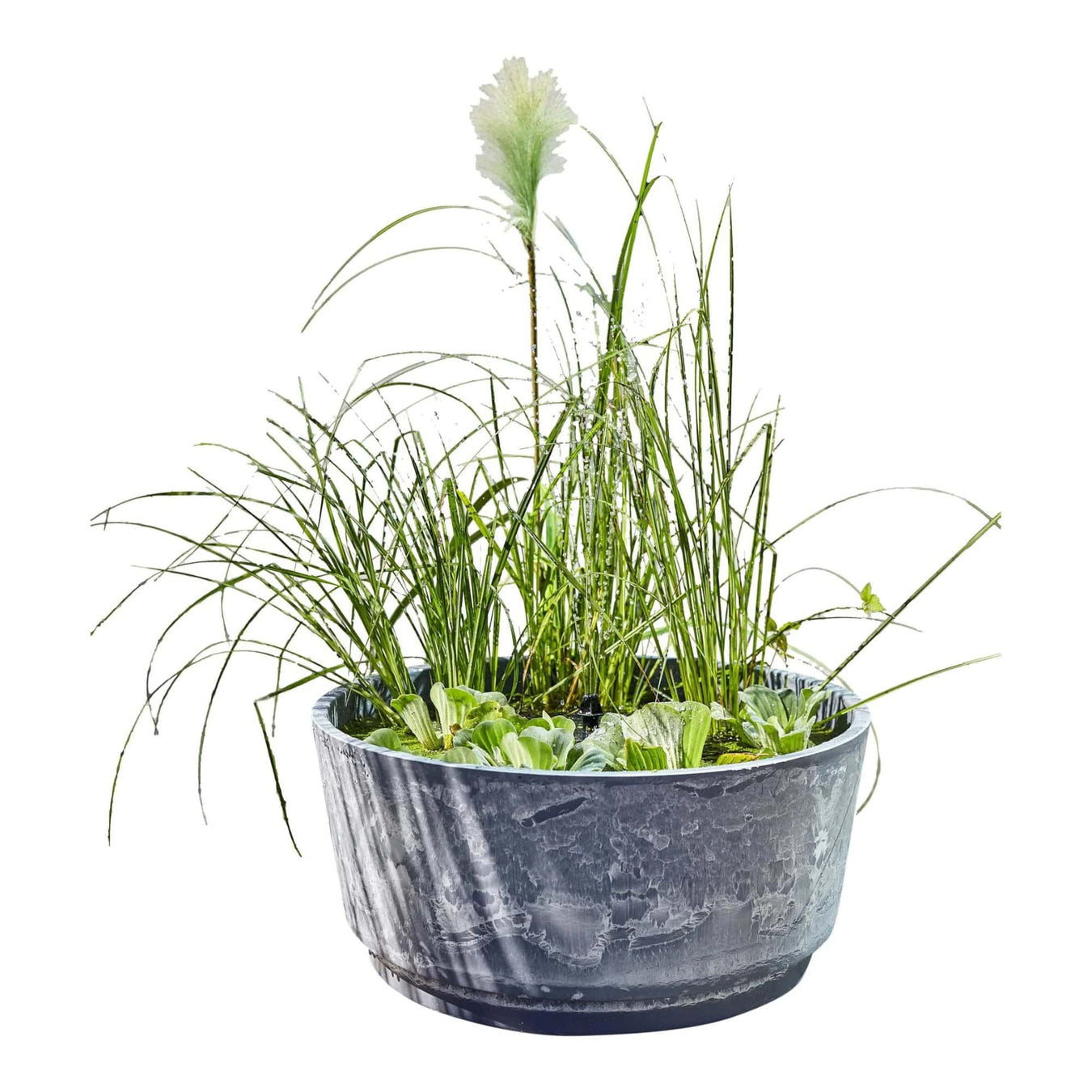 Poubellariums - Matériel pour poubellariums : petits bassins, vasques, micro plantes aquatiques