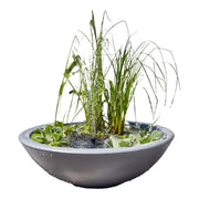 Heissner Bassin Solaire LOTUSGARDEN avec Pompe et Éclairage LED – Mini Bassin Décoratif pour Jardin, Terrasse et Balcon 4006873430346 015213-03-SL