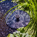 Heissner Bassin Solaire LOTUSGARDEN avec Pompe et Éclairage LED – Mini Bassin Décoratif pour Jardin, Terrasse et Balcon 4006873430346 015213-03-SL