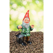 Heissner Nain de Jardin HEISSNER "Waldemar" avec Lanterne 4006873420002 06115-00