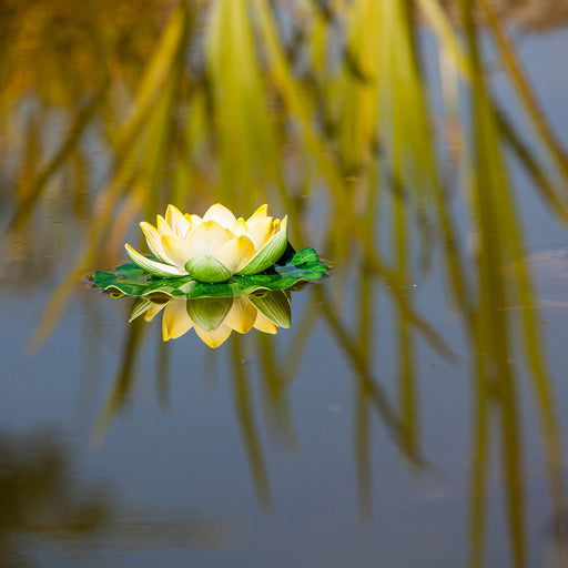 Heissner Nénuphar décoratif jaune - petite taille - Décoration flottante - Heissner 4006873422983 001123-00