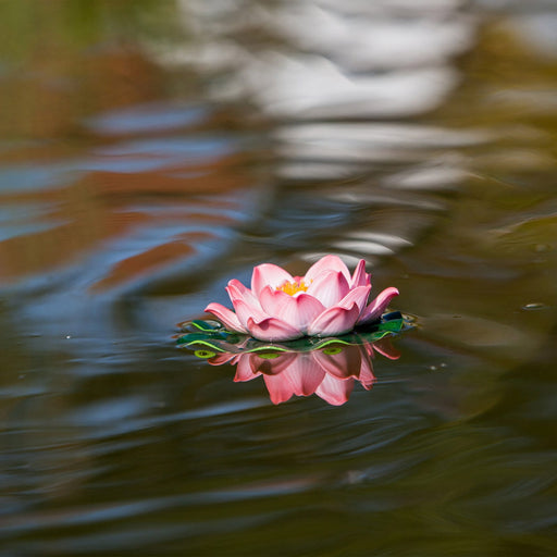 Heissner Nénuphar décoratif rose - taille moyenne - Décoration flottante - Heissner 4006873422976 001122-00