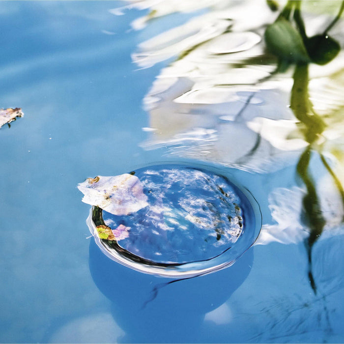 Heissner Skimmer d’Étang Debout 4006873425205 F551-00