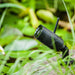 Heissner Smart Garden Cam – Caméra WiFi Extérieure IP66 4006873424970 Z1080-00