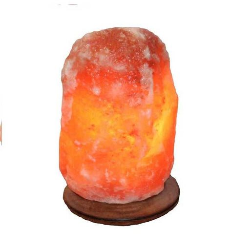 Himalaya Salt Dreams Lampe de Sel de L'himalaya - Salt Dreams - Avec socle en bois 4041678000301 42224