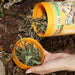 JBL ProTerra JBL Herbil - Aliment de base aux herbes pour toutes les tortues terrestres