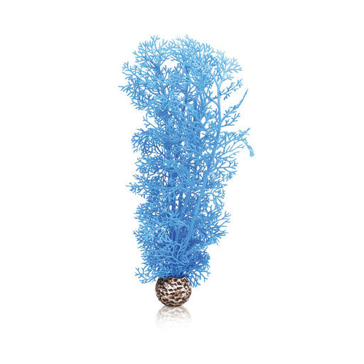 Oase Künstliche Pflanzen biOrb corail corne M bleu 822728007617 46095