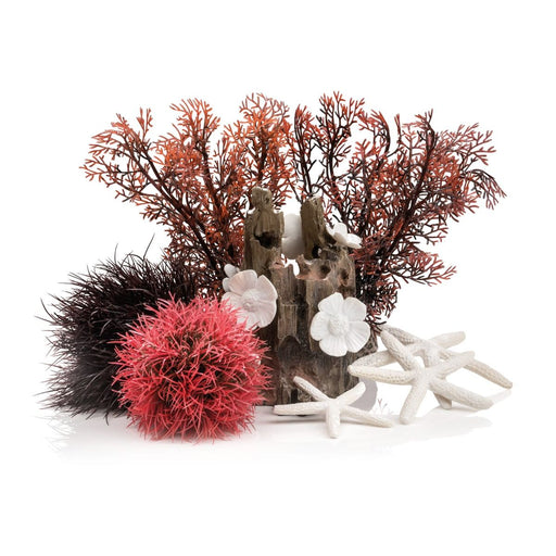 Oase Decoration Sets biOrb Easy Décor Kit - 15 L rouge 822728484425 48442