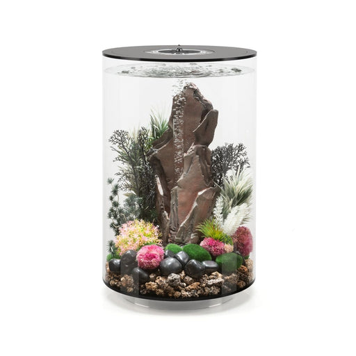 Oase Tabletop Aquarien biOrb TUBE 30 LED noir 822728923962 92396