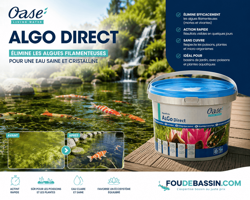 Oase Living Water Traitements AquaActiv AlGo Direct 5litres - Traite les algues de manière ciblée - Oase 4010052505497 50549