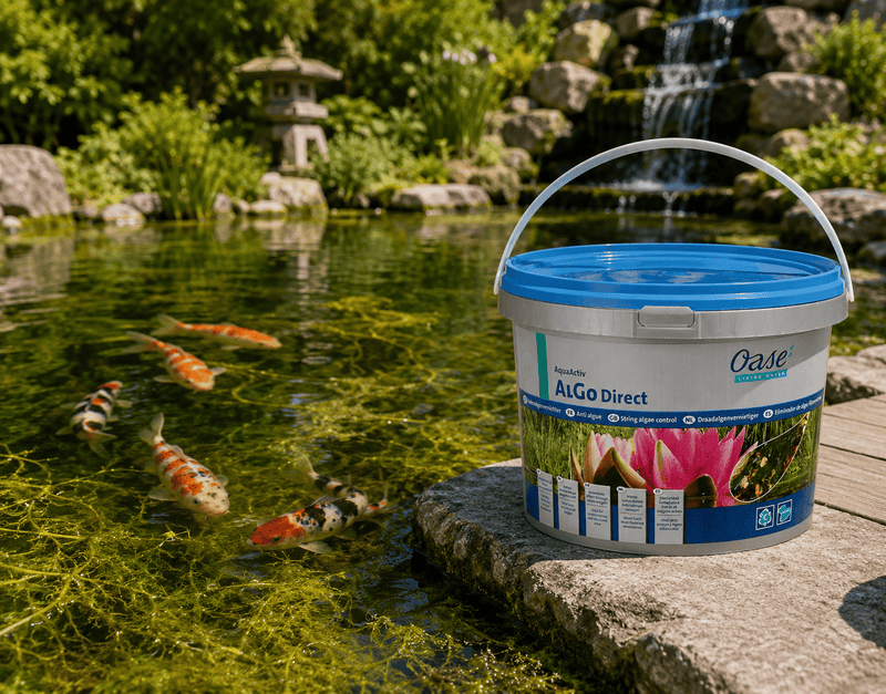 Oase Living Water Traitements AquaActiv AlGo Direct 5litres - Traite les algues de manière ciblée - Oase 4010052505497 50549