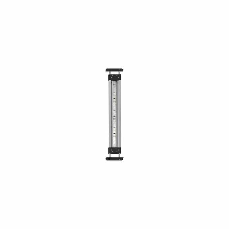 Oase Living Water MotionControl LED 100 - Nouveauté 2024 - Oase 4010052964492 96449
