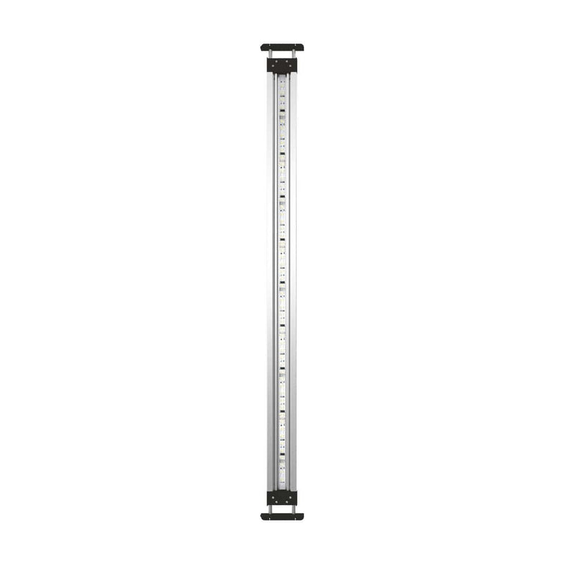 Oase Living Water MotionControl LED Set 100 - Nouveauté 2024 - Oase 4010052772325 77232