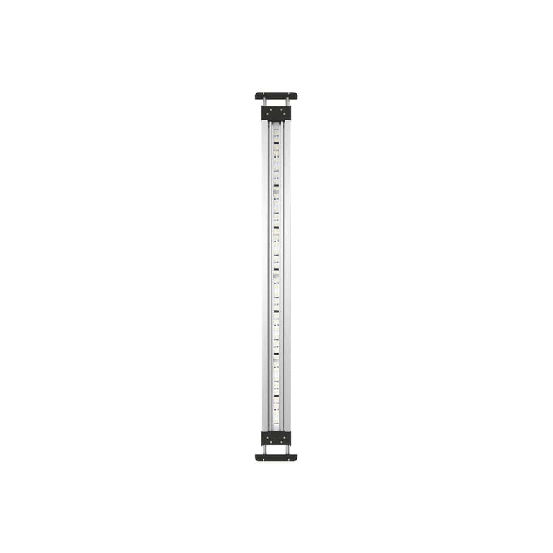 Oase Living Water MotionControl LED Set 80 - Nouveauté 2024 - Oase 4010052772318 77231