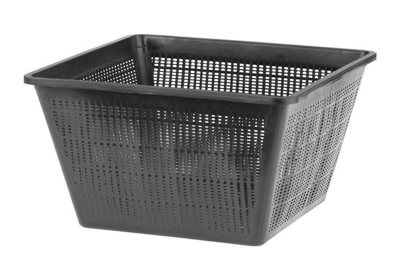 Oase Teichbepflanzung & Gartenbepflanzung Panier de plantation carré 23 4010052526331 52633