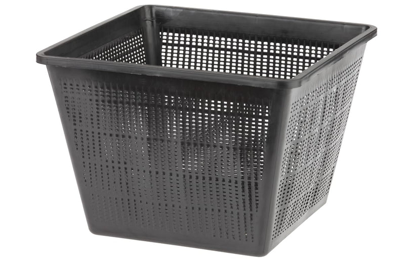 Oase Teichbepflanzung & Gartenbepflanzung Panier de plantation carré 28 4010052537559 53755