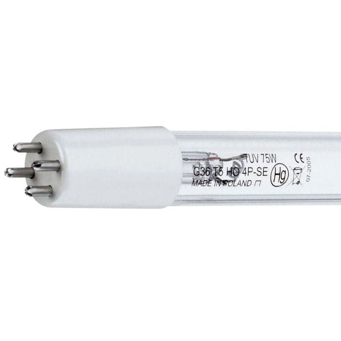 Philips Lampes UV-C de rechange Lampe 75W - Ampoule TL T5 UV-C Philips 8711500642332 SB721