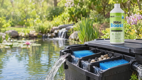 Filtre de bassin au printemps, eau claire en sortie