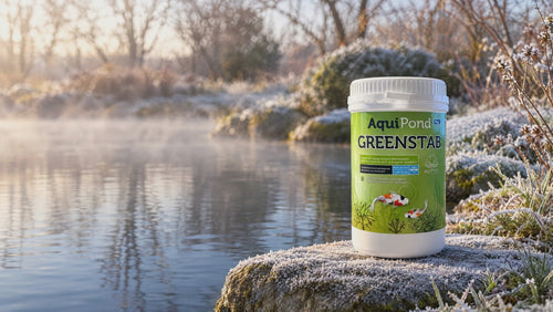 Étang givré en hiver avec brume, pot d'Aquipond Greenstab au bord