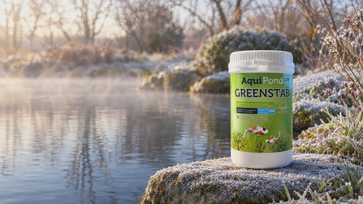 Étang givré en hiver avec brume, pot d'Aquipond Greenstab au bord