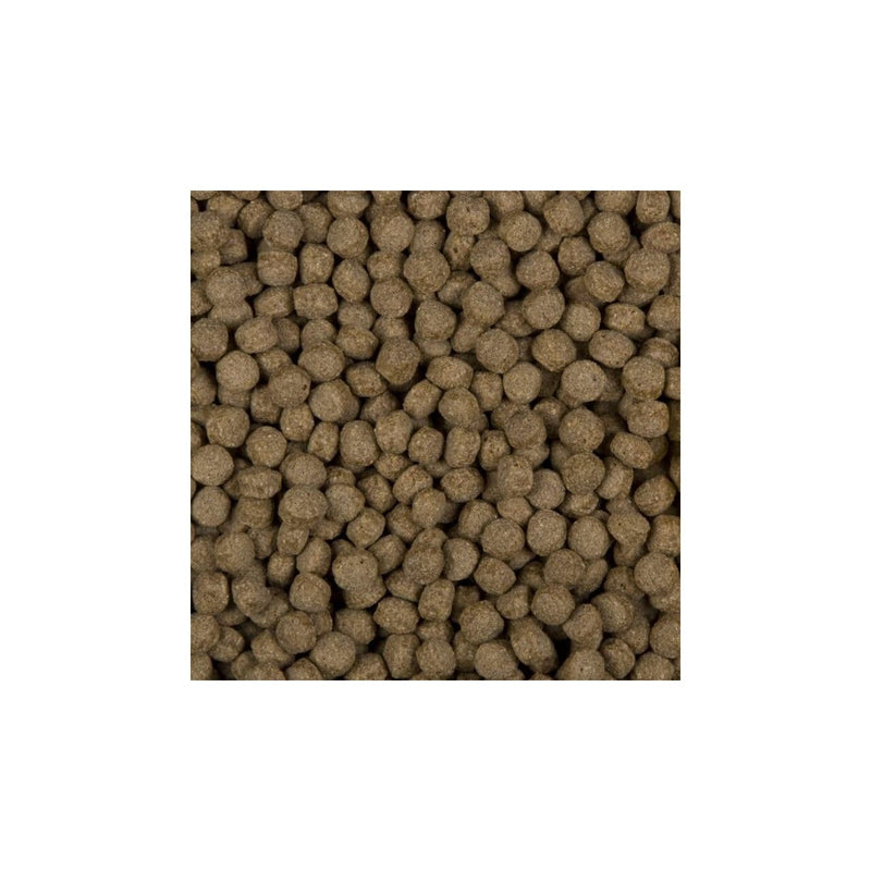 SaniKoi Alimentation pour poissons Nourriture pour poissons All Season Wheat germs 6 mm 3 l - SaniKoi 8711921231450 124630
