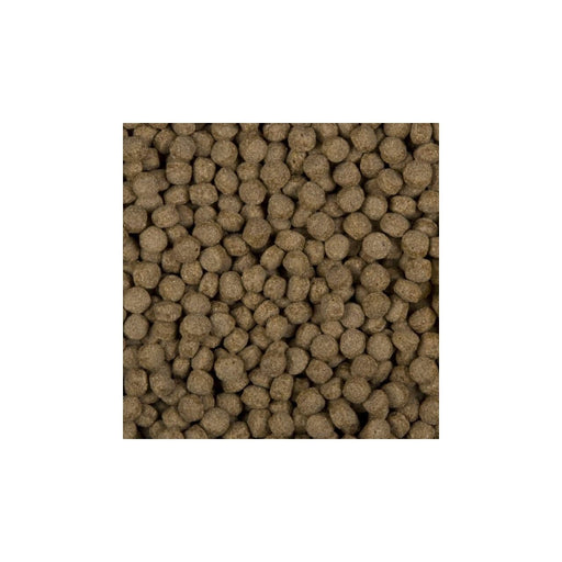 SaniKoi Alimentation pour poissons Nourriture pour poissons All Season Wheat germs 6 mm 3 l - SaniKoi 8711921231450 124630
