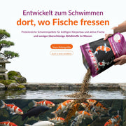 SaniKoi Alimentation pour poissons Nourriture pour poissons Colour Hi-Grow Mix 3 mm 3 l - SaniKoi 8711921233492 124635