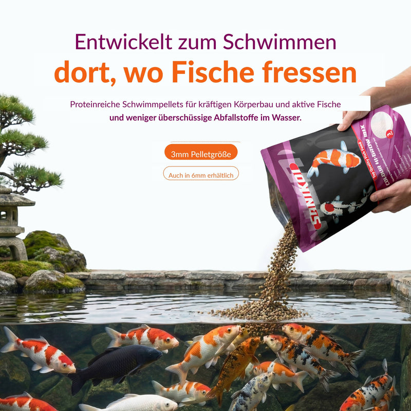 SaniKoi Alimentation pour poissons Nourriture pour poissons Colour Hi-Grow Mix 3 mm 3 l - SaniKoi 8711921233492 124635