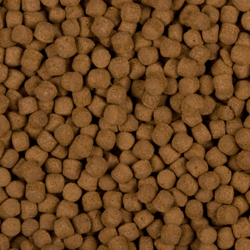 SaniKoi Alimentation pour poissons Nourriture pour poissons Excellent All-Round 6 mm 1 l - SaniKoi 8711921231399 124610