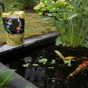 SaniKoi Alimentation pour poissons Nourriture pour poissons Gold Protein Plus 6 mm 3 l - SaniKoi 8711921254312 124647