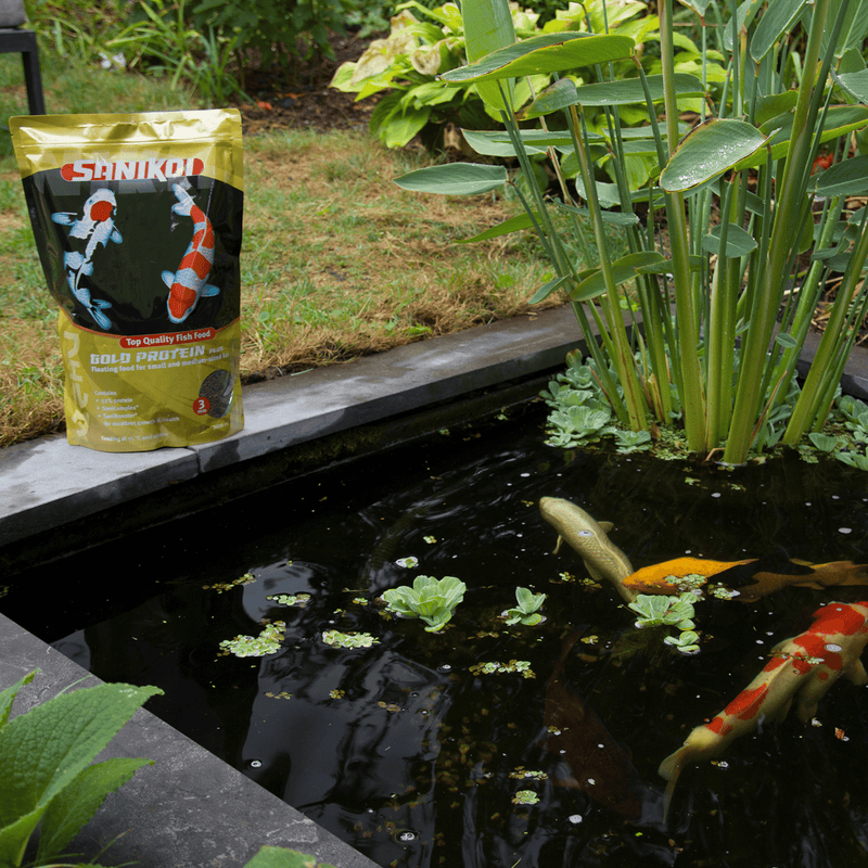 SaniKoi Alimentation pour poissons Nourriture pour poissons Gold Protein Plus 6 mm 3 l - SaniKoi 8711921254312 124647