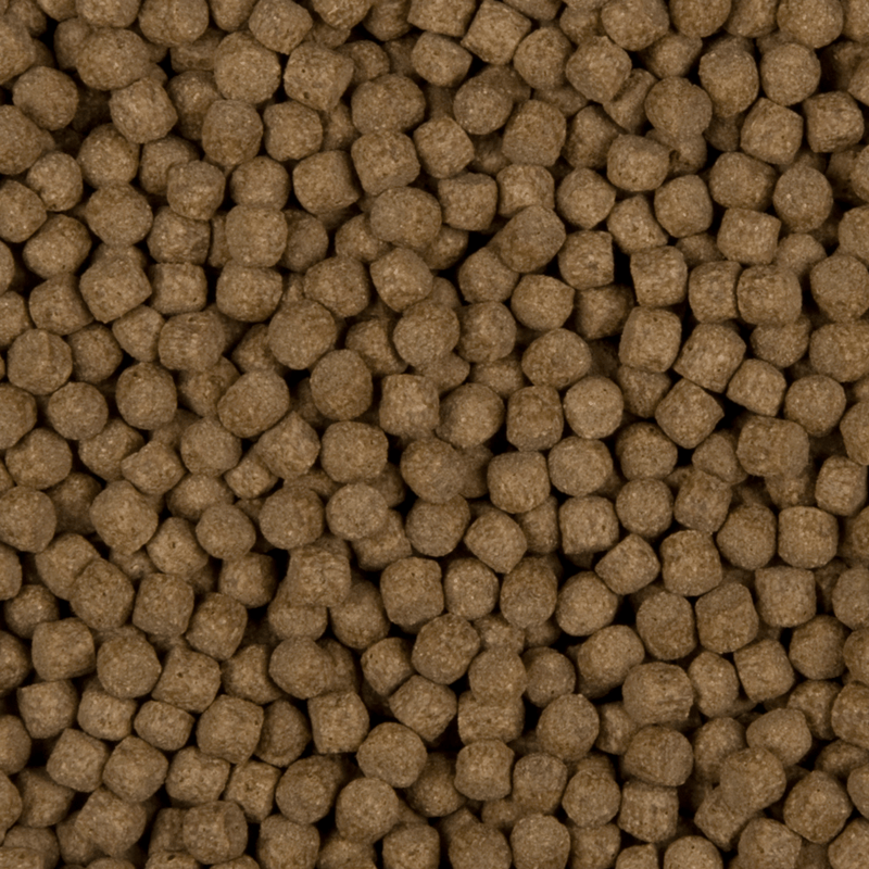 SaniKoi Alimentation pour poissons Nourriture pour poissons Staple Prime 6 mm 10 l - SaniKoi 8711921231351 124550