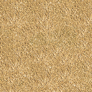 Détail de l’aliment – sera Betta Granules
