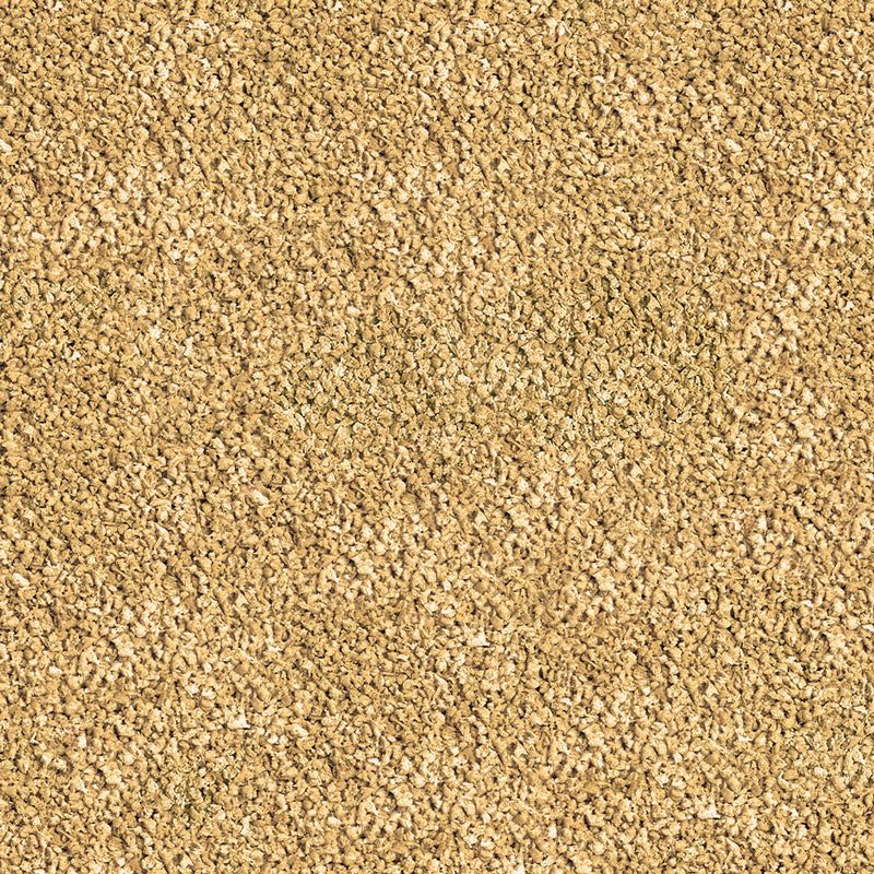 Détail de l’aliment – sera Betta Granules