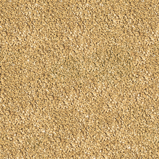 Détail de l’aliment – sera Betta Granules