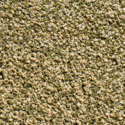 Détail de l’aliment – sera Vipagran Granules