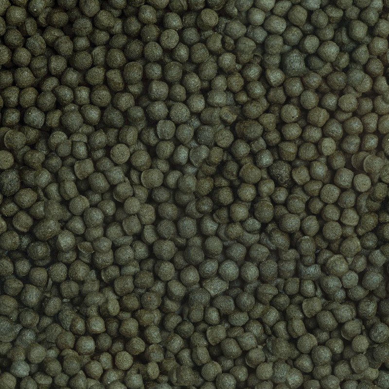 Détail de l’aliment – sera Cichlid Herbivore Granules XL