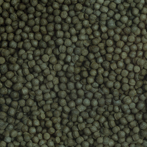 Détail de l’aliment – sera Cichlid Herbivore Granules XL