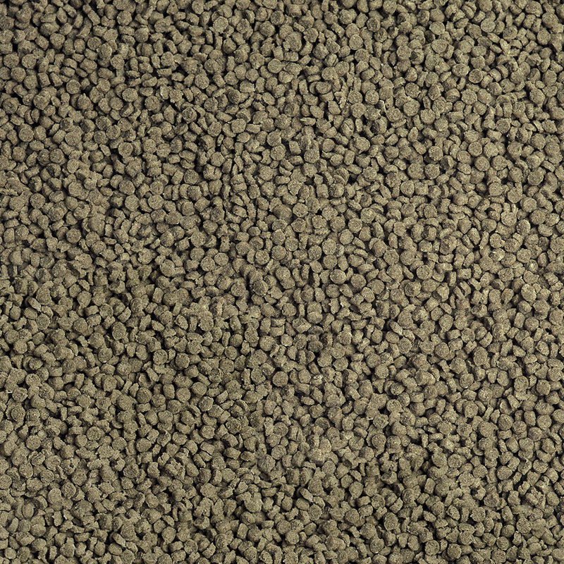 Détail de l’aliment – sera Cichlid Malawi Granules