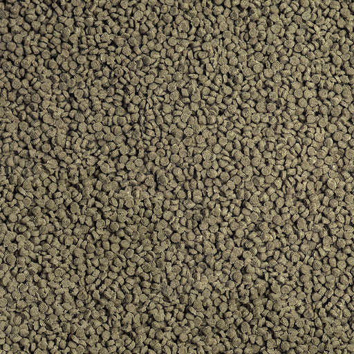 Détail de l’aliment – sera Cichlid Malawi Granules