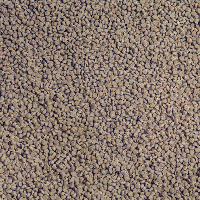Détail de l’aliment – sera Cichlid Tanganyika Granules