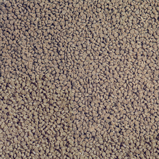 Détail de l’aliment – sera Cichlid Tanganyika Granules