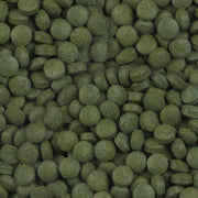 Détail de l’aliment – sera Plankton Color Tabs