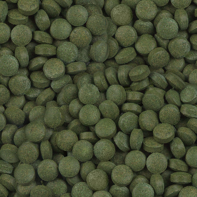 Détail de l’aliment – sera Plankton Color Tabs