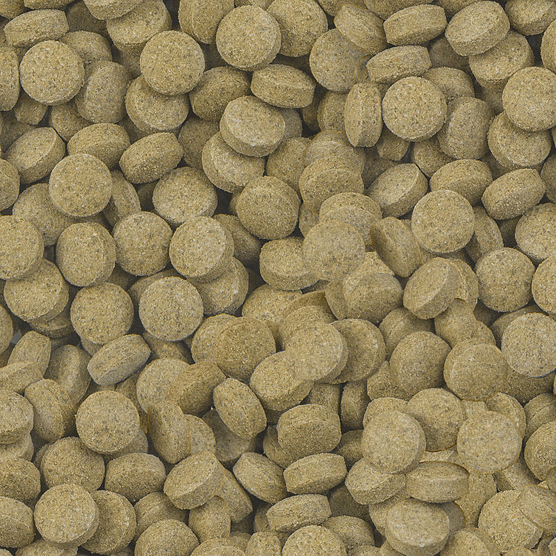 Détail de l’aliment – sera Viformo Pleco Tabs