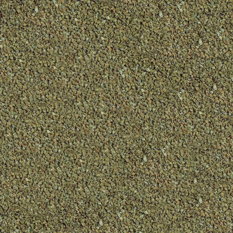 Détail de l’aliment – sera Guppy Granules