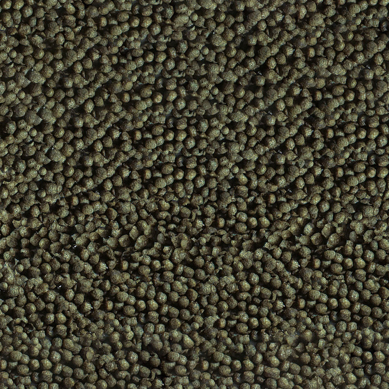 Détail de l’aliment – sera Goldy Color
