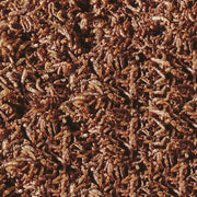 Détail de l’aliment – sera Bloodworms FD Snack