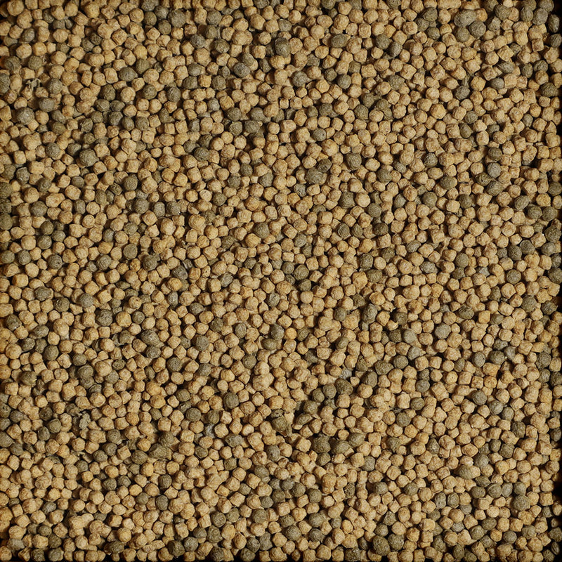 Détail de l’aliment – sera Turtle Baby Growth Mix